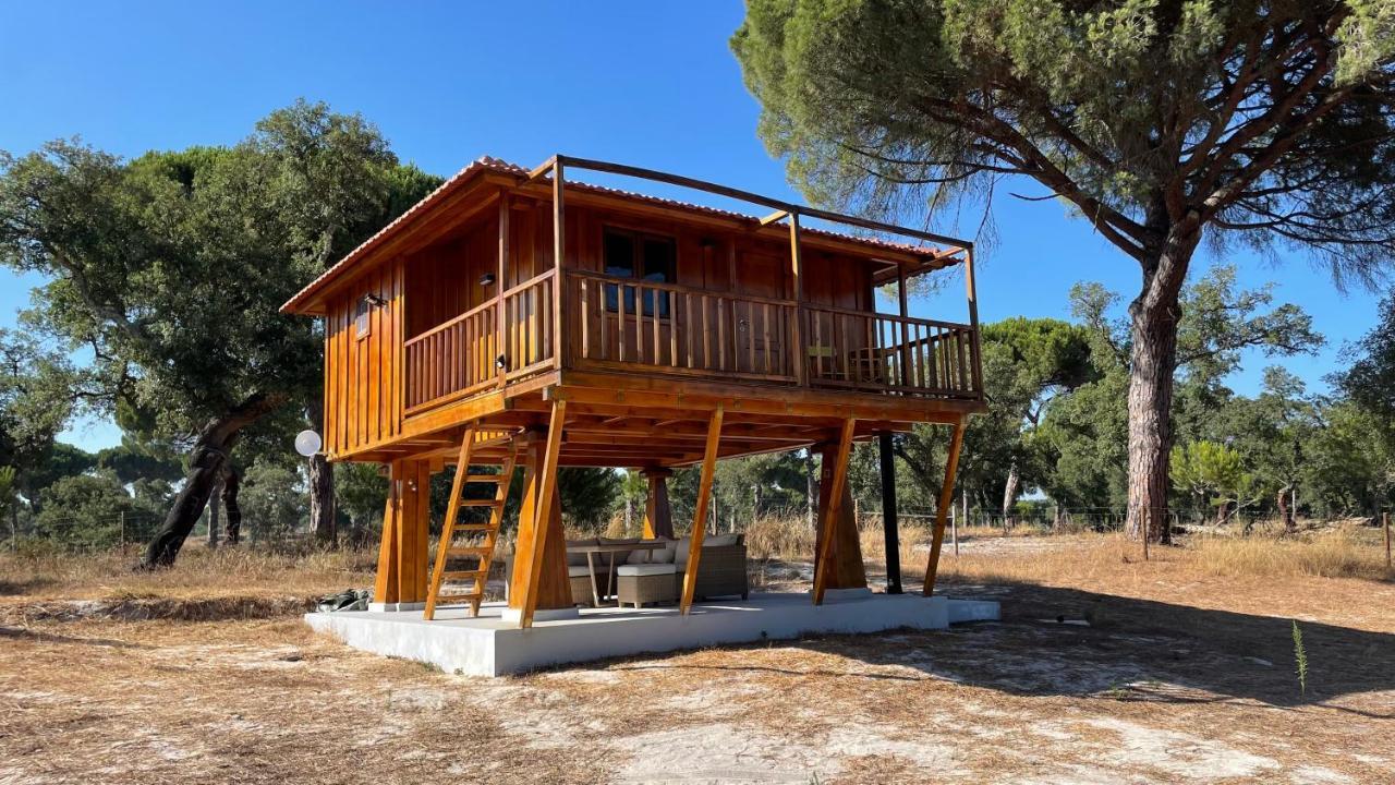 Vila Suspended Wooden House - Monte Da Cortica Águas de Moura Exteriér fotografie